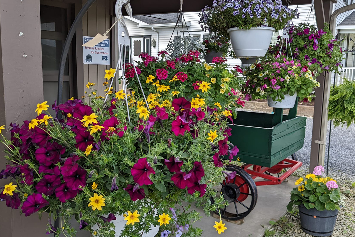 flowers and hanging baskets