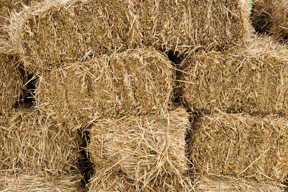 bales of hay