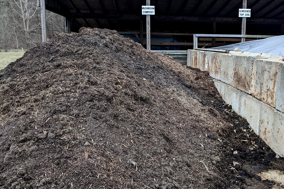 A pile of bulk mushroom compost